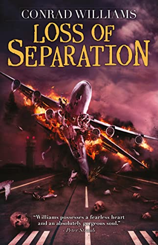 Beispielbild fr Loss of Separation zum Verkauf von HPB-Movies