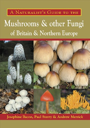 Stock image for A Naturalist's Guide to the Mushrooms and Other Fungi of Britain & Northern Europe (Naturalists' Guides) for sale by MusicMagpie