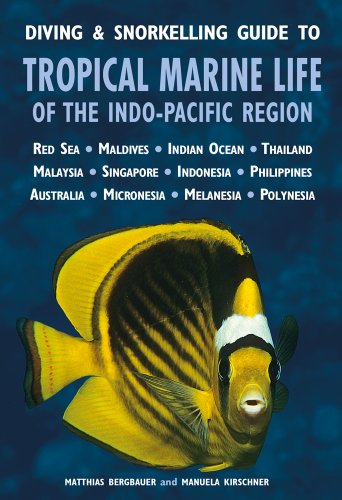 Stock image for Diving & Snorkelling Guide to Tropical Marine Life of the Indo-Pacific Region for sale by Hill End Books