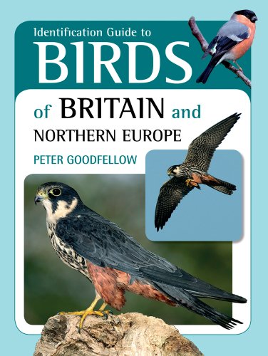 Imagen de archivo de Identification Guide to Birds of Britain and Northern Europe a la venta por WorldofBooks