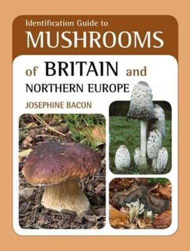 9781906780609: Identification Guide to Mushrooms of Britain and Northern Europe