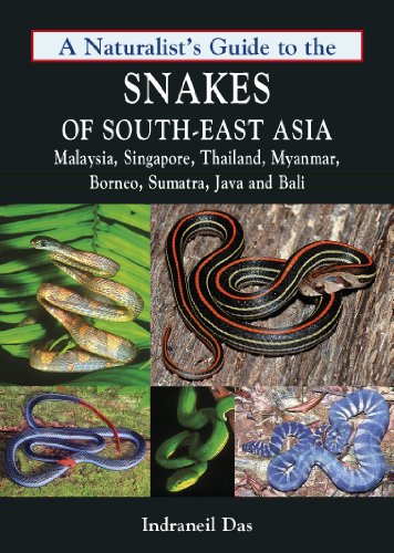 9781906780708: Naturalist's Guide to the Snakes of South-East Asia: Malaysia, Singapore, Thailand, Myanmar, Borneo, Sumatra, Java and Bali