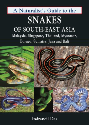 9781906780708: A Naturalist's Guide to the Snakes of South-east Asia: Including Malaysia, Singapore, Thailand, Myanmar, Borneo, Sumatra, Java and Bali