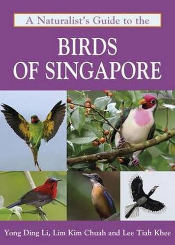 Stock image for A Naturalist's Guide to the Birds of Singapore (Naturalists' Guides) for sale by GF Books, Inc.