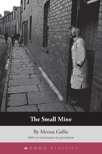 9781906784218: The Small Mine