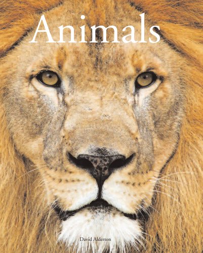 Beispielbild fr ENCYCLOPEDIA OF ANIMALS zum Verkauf von WorldofBooks
