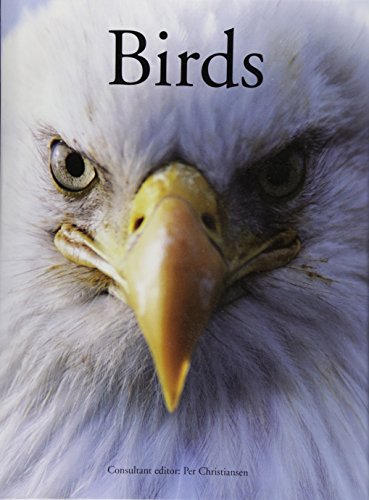 Beispielbild fr Encyclopedia of Birds zum Verkauf von WorldofBooks