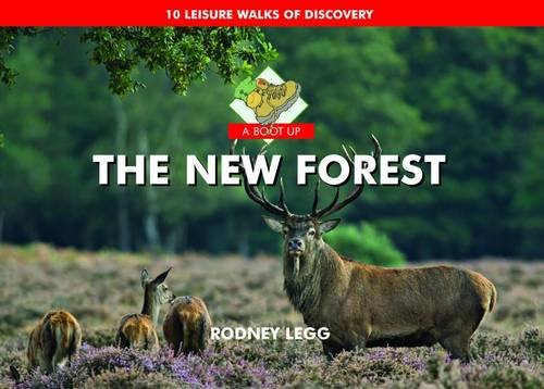 Imagen de archivo de A Boot Up the New Forest a la venta por Reuseabook