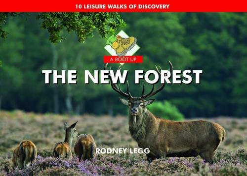 Stock image for A Boot Up the New Forest for sale by WorldofBooks