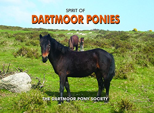 Beispielbild fr Spirit of Dartmoor Ponies zum Verkauf von WorldofBooks