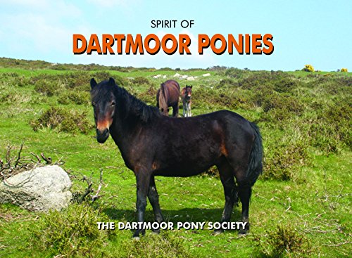 9781906887230: Spirit of Dartmoor Ponies