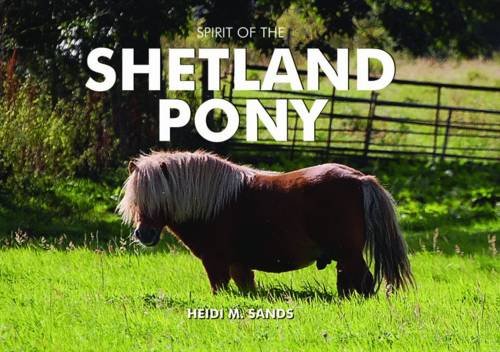 Stock image for Spirit of the Shetland Pony for sale by BookHolders