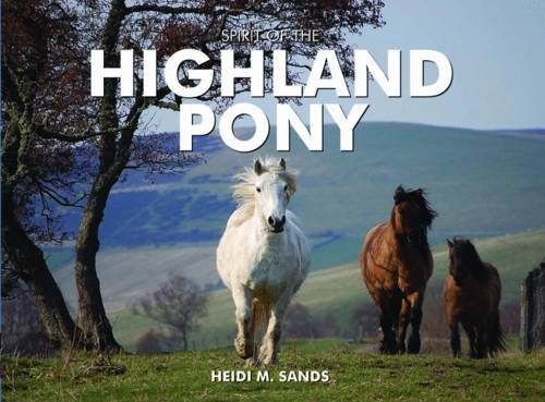 Stock image for Spirit of the Highland Pony for sale by WorldofBooks