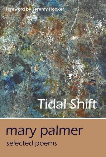 Stock image for Tidal Shift for sale by Goldstone Books