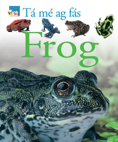 Stock image for Frog for sale by Better World Books Ltd