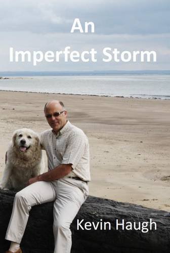 Imagen de archivo de An Imperfect Storm a la venta por Better World Books: West