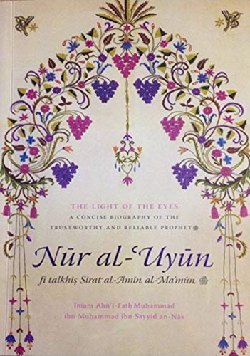 Stock image for Light of the Eyes, Nur Al 'Uyun - A Concise Seerah for sale by GF Books, Inc.