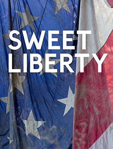 Imagen de archivo de Dan Colen: Sweet Liberty a la venta por Midtown Scholar Bookstore