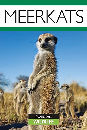 Stock image for Meerkats (Wildlife Collection) for sale by AwesomeBooks