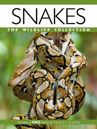 Beispielbild fr Snakes (Wildlife Collection) zum Verkauf von AwesomeBooks