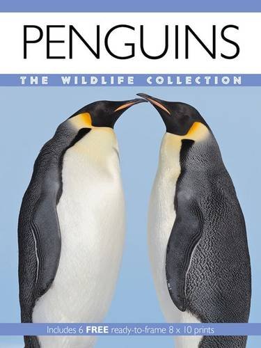 Beispielbild fr Penguins (Wildlife Collection) zum Verkauf von WorldofBooks