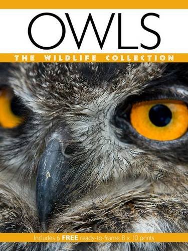 Beispielbild fr Owls (Wildlife Collection) zum Verkauf von WorldofBooks