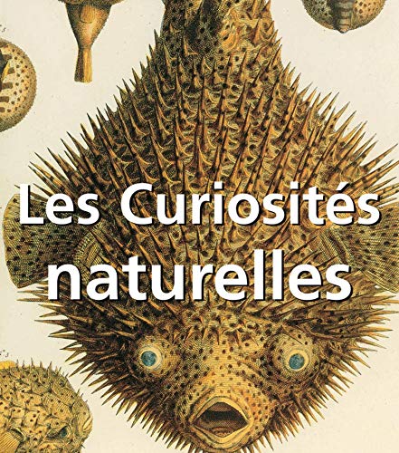 Beispielbild fr Les Curiosits naturelles zum Verkauf von medimops
