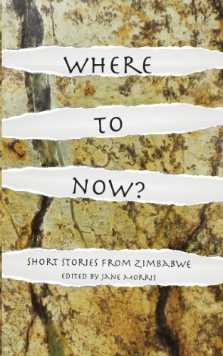 Beispielbild fr Where to Now? Short Stories from Zimbabwe zum Verkauf von WorldofBooks