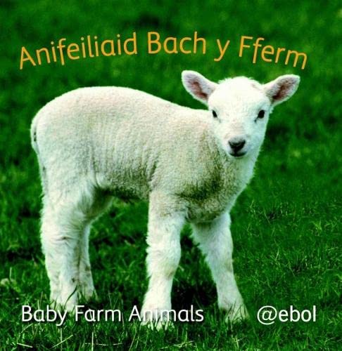 Beispielbild fr Anifeiliaid Bach Y Fferm/Baby Farm Animals (Fy Llyfr Lluniau Defnydd Meddal/my Photo Soft Cloth Book) zum Verkauf von Revaluation Books
