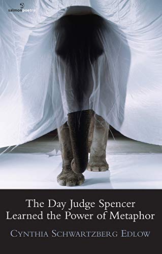 Beispielbild fr The Day Judge Spencer Learned the Power of Metaphor (Salmon Poetry) zum Verkauf von Bookmans