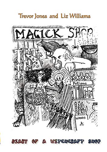 Beispielbild fr Diary of a Witchcraft Shop zum Verkauf von WorldofBooks