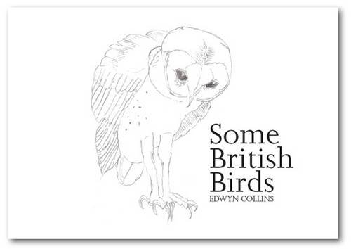 Stock image for Some British Birds for sale by Orbiting Books