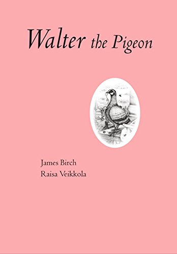 9781907112492: Walter The Pigeon