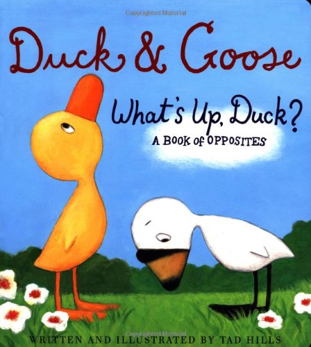 Beispielbild fr A Book of Opposites Duck & Goose: What's Up Duck?: Duck and Goose: What's Up Duck? zum Verkauf von WorldofBooks