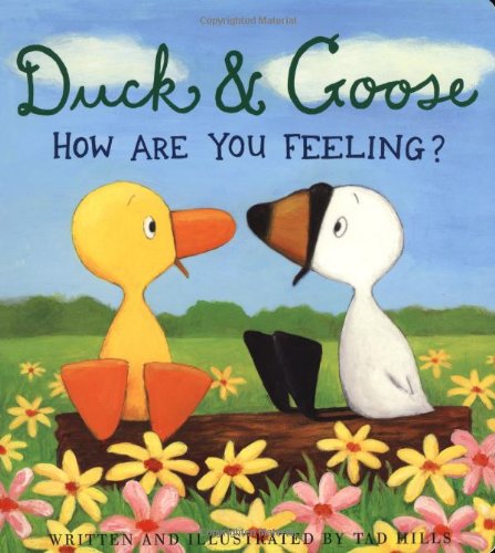 9781907152078: Duck and Goose: How are You Feeling?