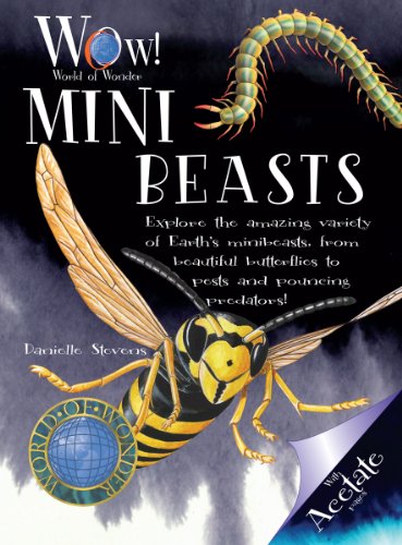 Beispielbild fr Mini Beasts (World of Wonder) zum Verkauf von medimops