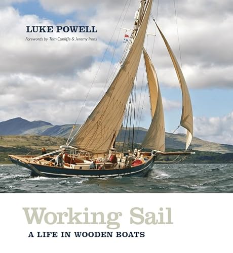 Beispielbild fr Working Sail zum Verkauf von GreatBookPrices