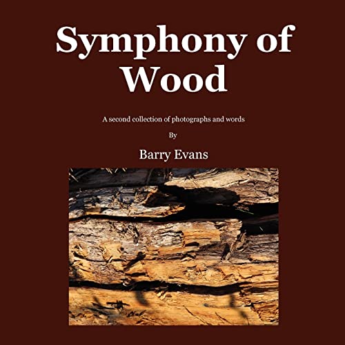 Beispielbild fr Symphony of Wood zum Verkauf von Lucky's Textbooks