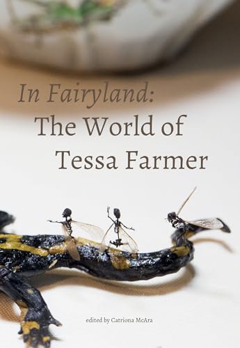 Stock image for In Fairyland: The World of Tessa Farmer (Strange Attractor Press) for sale by Bellwetherbooks