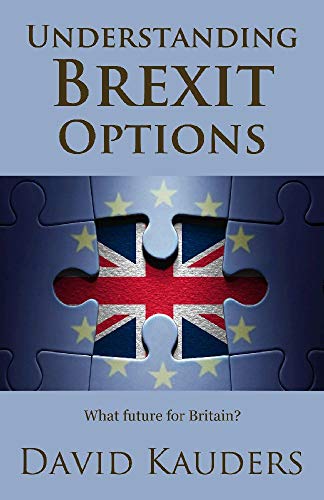Imagen de archivo de Understanding Brexit Options: What future for Britain? a la venta por Wonder Book
