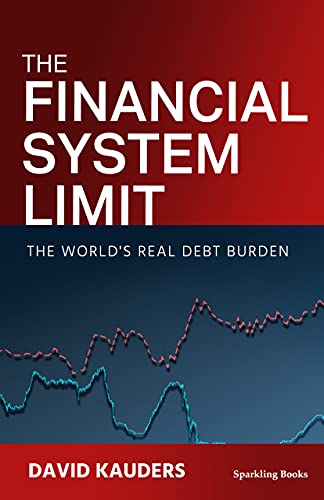 Beispielbild fr The Financial System Limit: The World's Real Debt Burden zum Verkauf von medimops