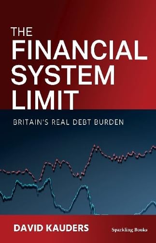 Stock image for The Financial System Limit: The world's real debt burden for sale by THE SAINT BOOKSTORE