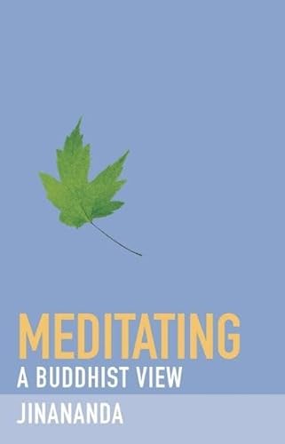 9781907314063: Meditating: 4 (A Buddhist View)