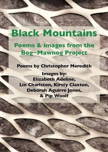 9781907327162: Black Mountains: Poems and Images from the Bog-mawnog Project