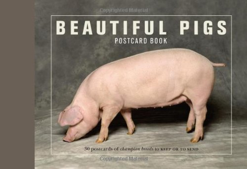 9781907332128: Beautiful Pigs Postcard Books: 30 Postcards of Champion Breeds to Keep or Send