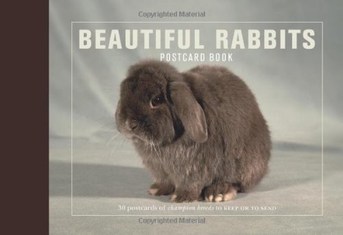 Beispielbild fr Beautiful Rabbits Postcard Book zum Verkauf von medimops