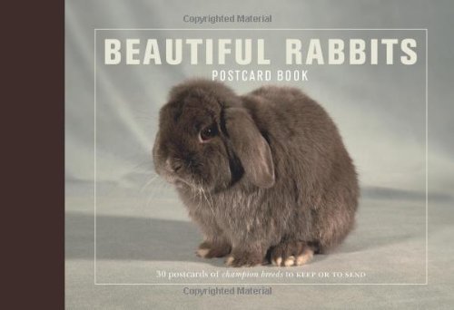 Stock image for Beautiful Rabbits Postcard Book for sale by medimops