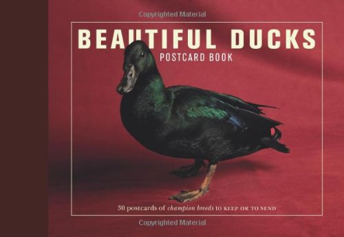 Stock image for Beautiful Ducks Postcard Book: 30 Postcards of Champion Breeds to Keep or Send for sale by WorldofBooks