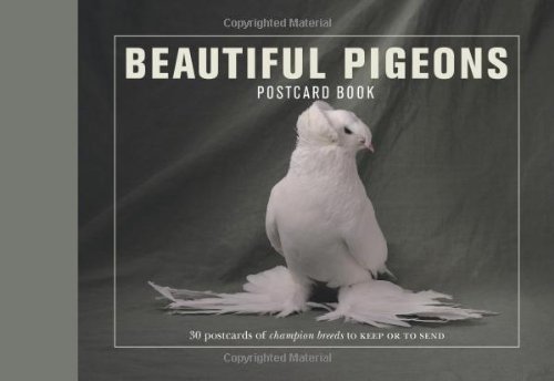 Beispielbild fr Beautiful Pigeons Postcard Book: 30 Postcards of Champion Breeds to Keep or Send zum Verkauf von WorldofBooks