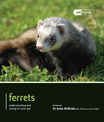 Beispielbild fr Ferrets - Pet Friendly zum Verkauf von WorldofBooks